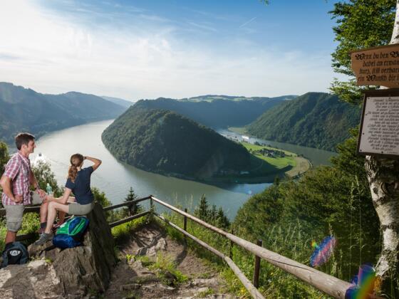 Donausteig - Schlögener Blick
