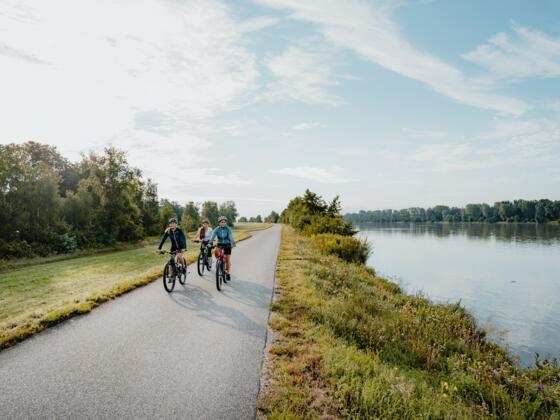 Radtour am Donauradweg bei Feldkirchen an der Donau