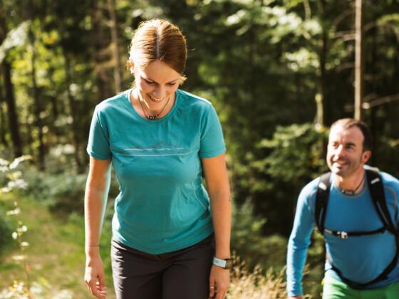 Wandern am Donausteig