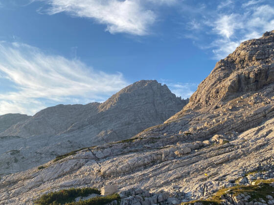 Mittig das große Ochsenhorn