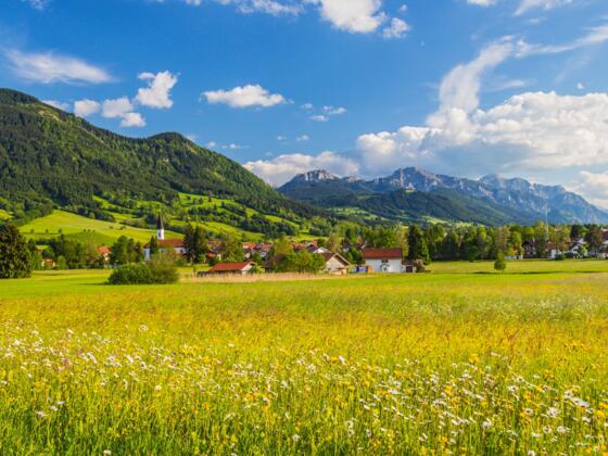 Trauchgau