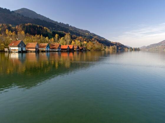 Den Großen Alpsee in Immenstadt Bühl
