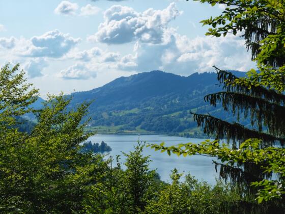 Blick zum Großen Alpsee von der Ruine Hugofels