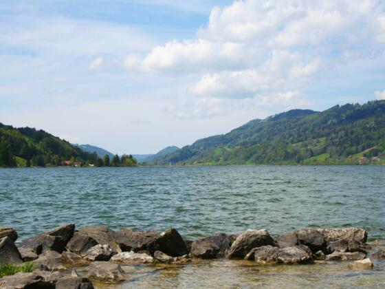 Blick über den Großen Alpsee