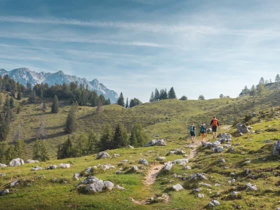 Scheffau_Steinbergalm_Wilder Kaiser