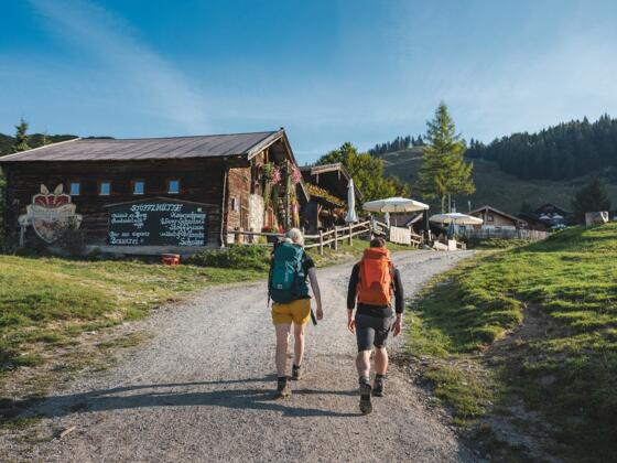 Scheffau_Stöfflhütte_Walleralm_Wilder Kaiser