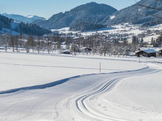 Söll_Sunnseitloipe_Winterwanderweg_Wilder Kaiser