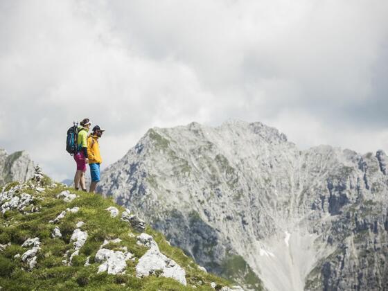 Scheffau_Scheffauer Gipfel_Wilder Kaiser