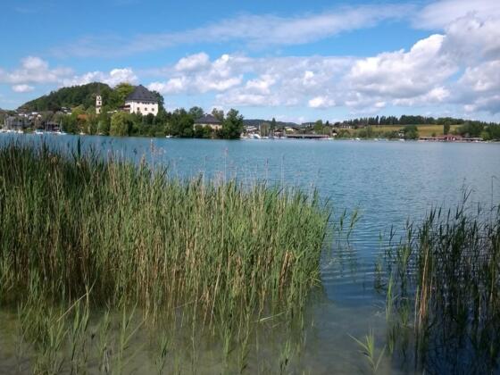 Blick auf Schloss Mattsee