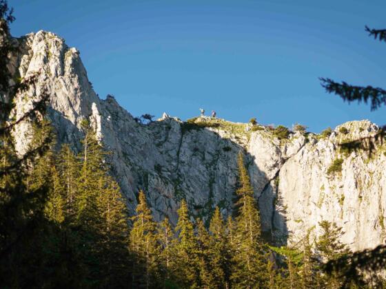 wandern-breitenstein-70