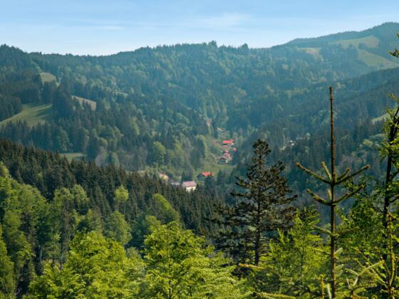 Wandertour Unterkürnach – Kreuzbachtal – Eisenbach