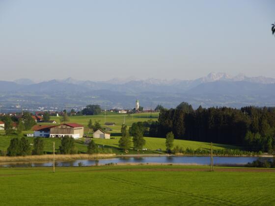 Sachsenrieder Weiher