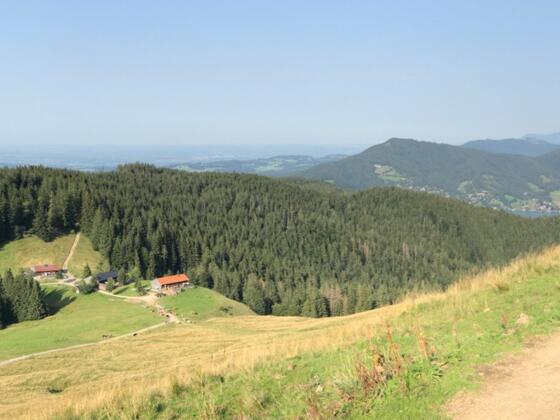 Blick vom Gindelalmschneid zur Gindel-Alm
