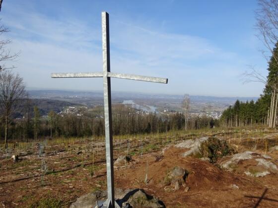 Hoher Dürnberg (549 m)