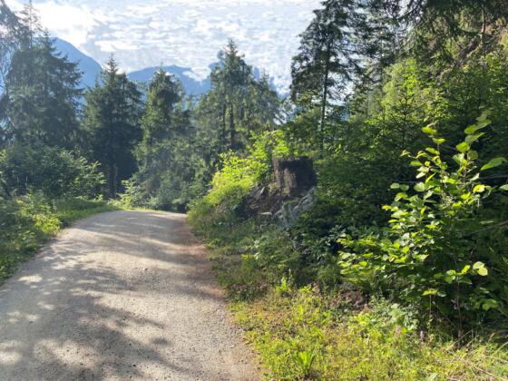 #3 Cache (Stuibenfallrunde)