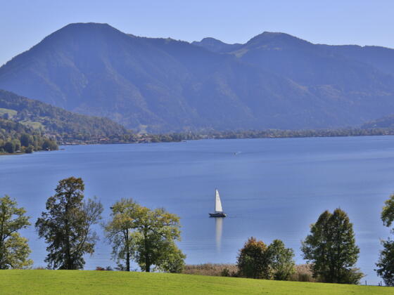 ttt_0814_ek_landschaft_fruehling_kaltenbrunn-0002