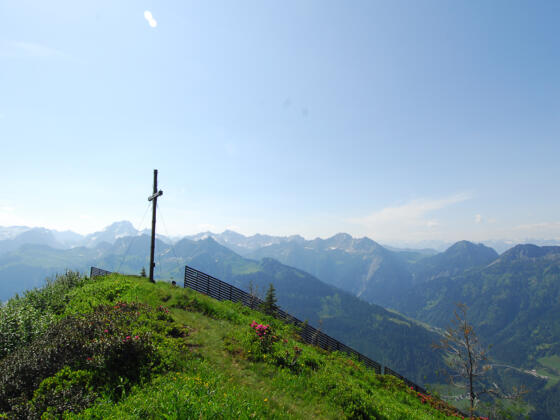 Gipfel des Falvkopfes