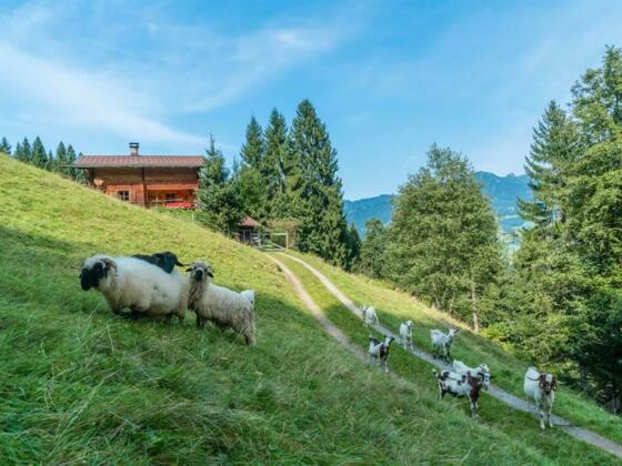 nej_20170908_DSC6450