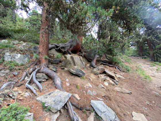 #4 Cache (Ramolalm)