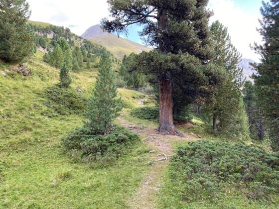 #6 Cache (Ramolalm)