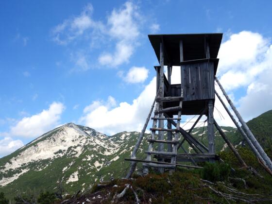Schneekogel 1403m mit Jagastand