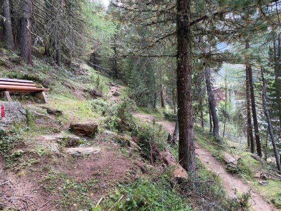 #1 Cache (Ramolalm)