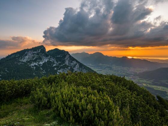 Gipfel Rauschberg mit Blick nach Ruhpolding