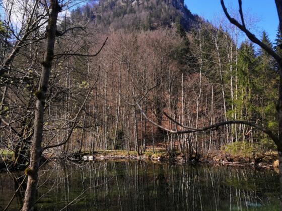 Weier beim Zwingsee