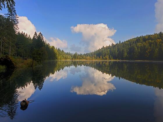 inzell sommer frillensee panorama