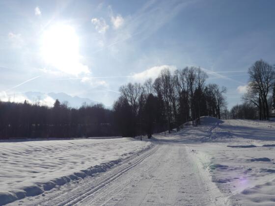 Sportplatzloipe mit Blick zum Kaisergebirge