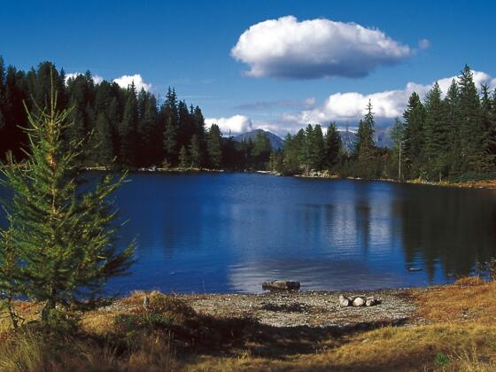 Vom Wipptal durch das Eggertal zur Onser Alm und weiter zum malerischen Puntleider See.