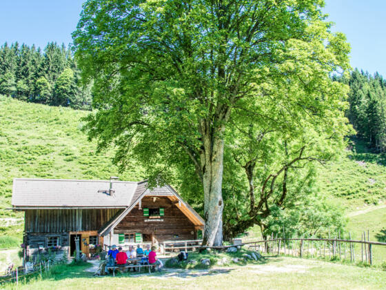 Steineralm am Fuße des Staufens