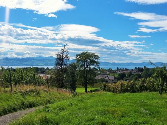 Blick von Bettnau zum Bodensee und Säntis