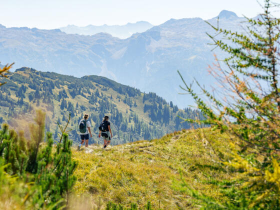 Wanderer am Weg zum Aussichtsberg Lackenkogel