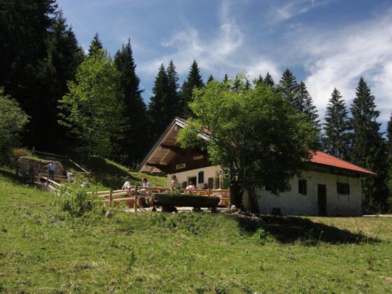 inzell moaralm