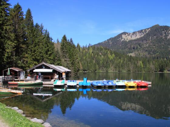 Am Spitzingsee
