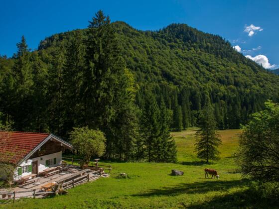 moaralm inzell
