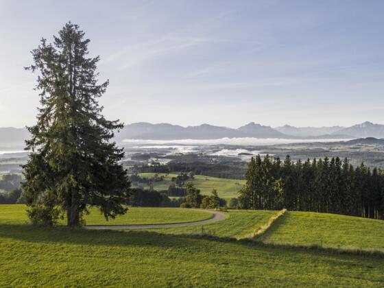 Blick in den Schlosspark am Auerberg