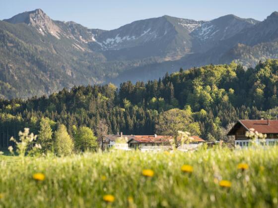 Blick auf Aiplspitz