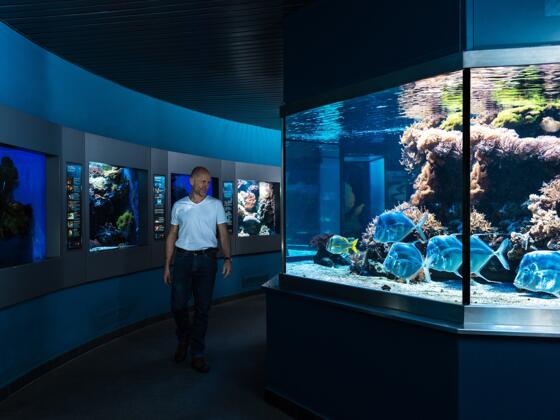 Aquarium im Haus der Natur