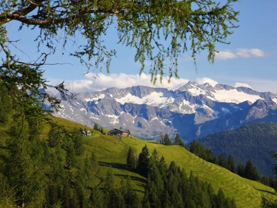 Bichlalm im Grossarltal