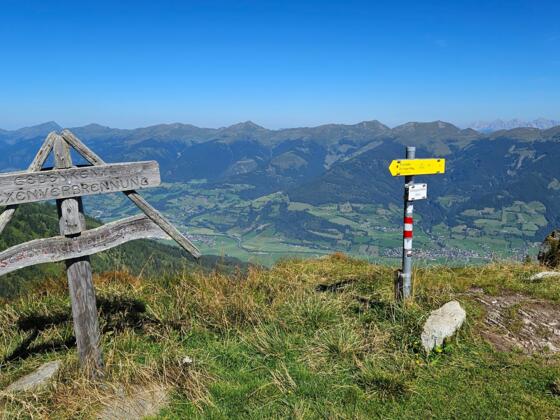 Schoppachhöhe 2.069 m - am Alexander Enzinger Weg