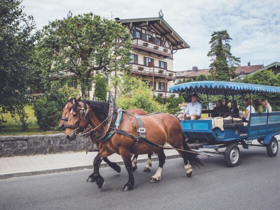 TTT_0619_MM_Brauchtum_Pferdekutschenfahrt_Rottach-0002