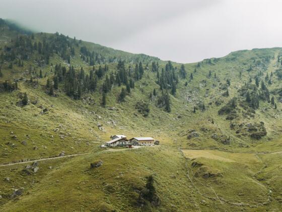 Die Steinbergalm in Inneralpbach Luegergraben