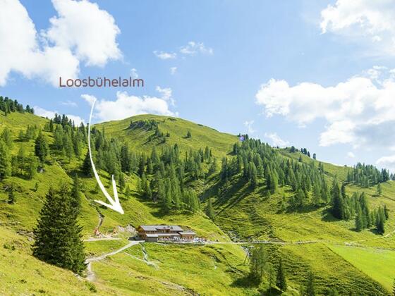 Loosbühelalm im Grossarltal