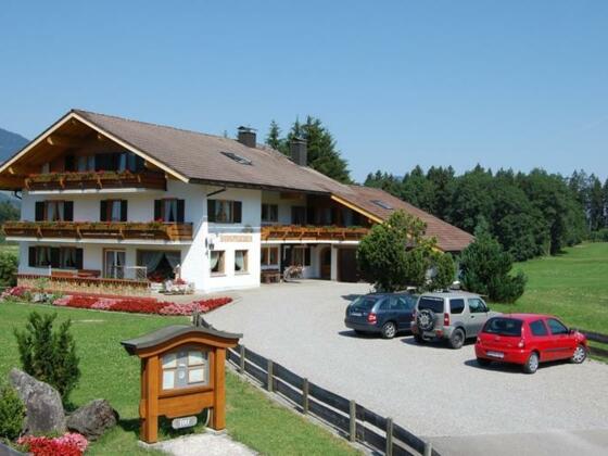 Auf der Sonnenseite von Fischen