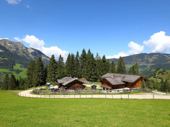 Heugathalm im Grossarltal