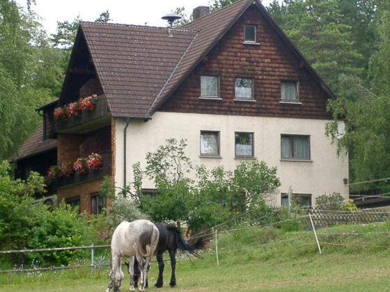 Gasthaus zum Neutrasfelsen