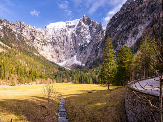 Die Scharitzkehlalm