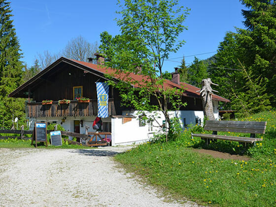 Nattersbergalm in Reit im Winkl